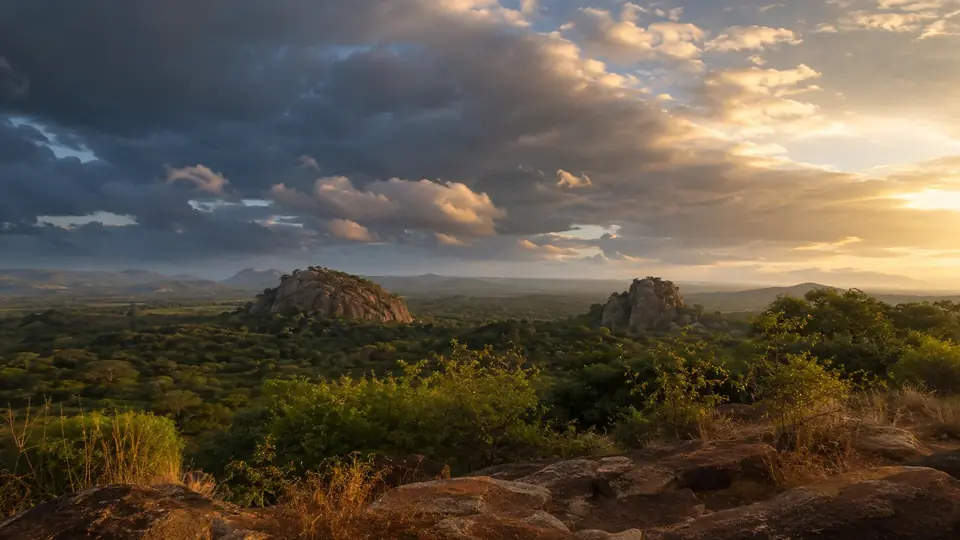 The golden dry-zone landscape around Dambulla with granite outcrops rising from forest