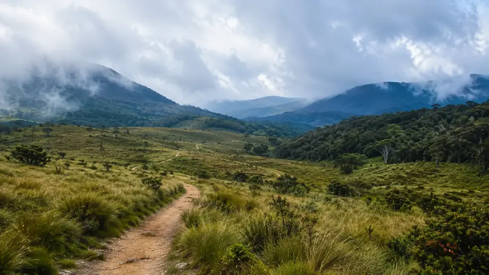 The open montane grassland of Horton Plains with cloud forest edges and a winding footpath